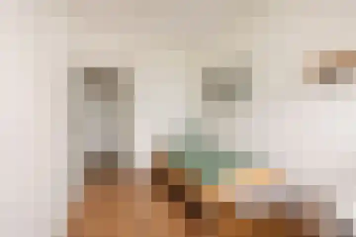 Rooseveltlaan 702 Utrecht thumbnail 19