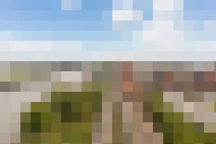 Rooseveltlaan 702 Utrecht thumbnail 23