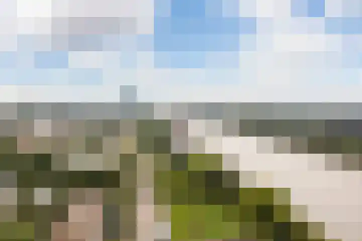 Rooseveltlaan 702 Utrecht thumbnail 24