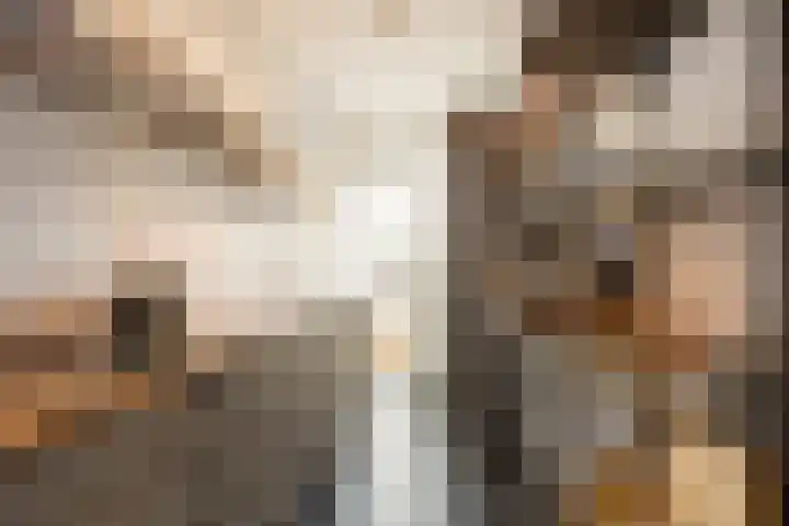 Rooseveltlaan 702 Utrecht thumbnail 9