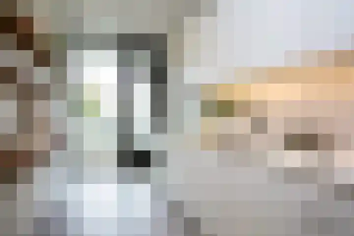 Rooseveltlaan 728 Utrecht thumbnail 10