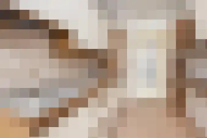 Rooseveltlaan 728 Utrecht thumbnail 11
