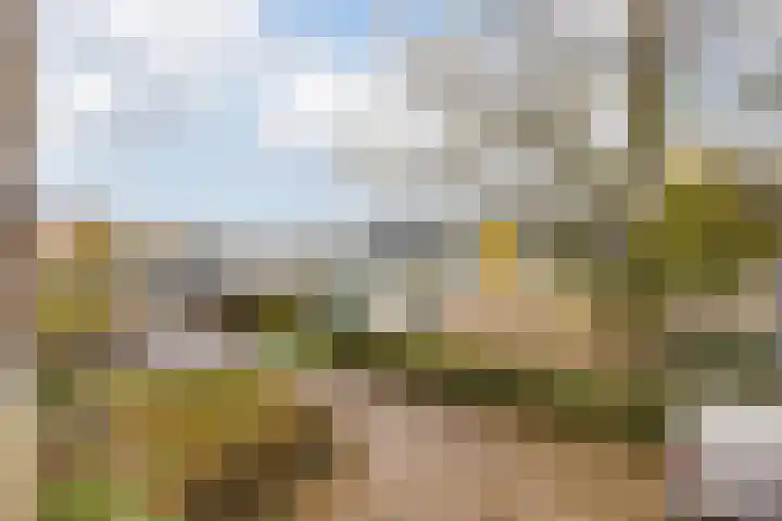 Rooseveltlaan 728 Utrecht thumbnail 14