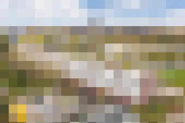 Rooseveltlaan 728 Utrecht thumbnail 28