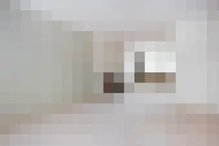 Rooseveltlaan 728 Utrecht thumbnail 7