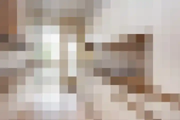 Rooseveltlaan 728 Utrecht thumbnail 9