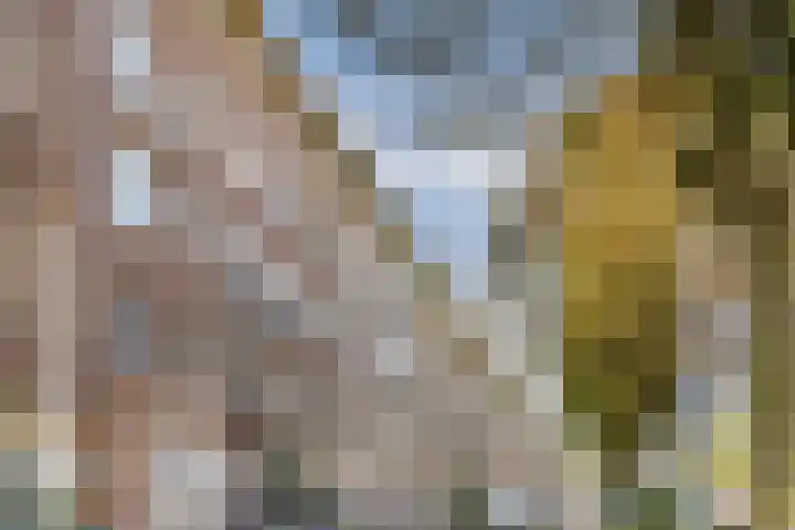 Rooseveltlaan 73 1 Amsterdam thumbnail 32