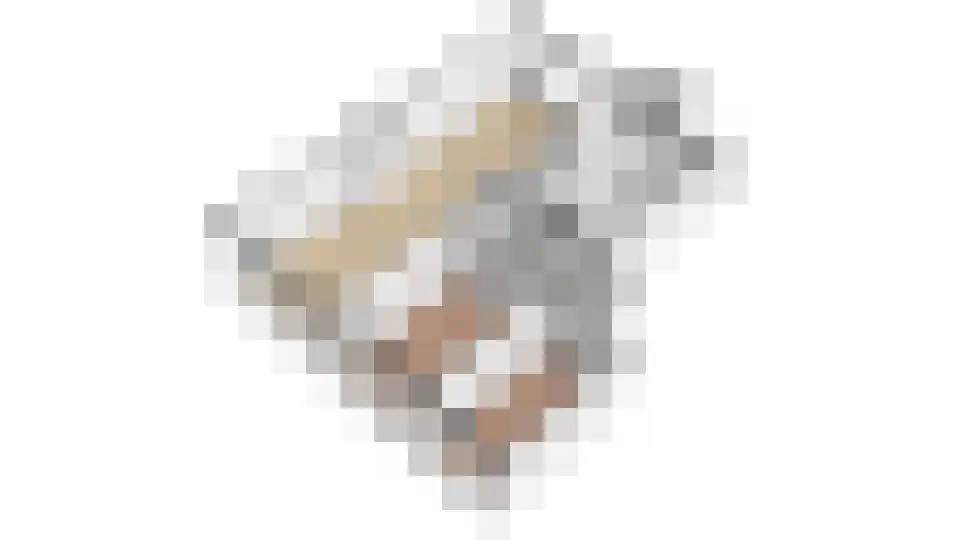 Rooseveltlaan 730 Utrecht thumbnail 21