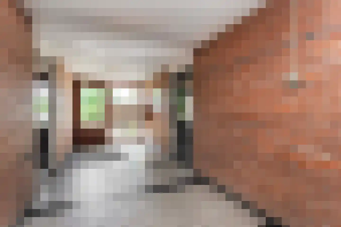 Rooseveltlaan 768 Utrecht thumbnail 36