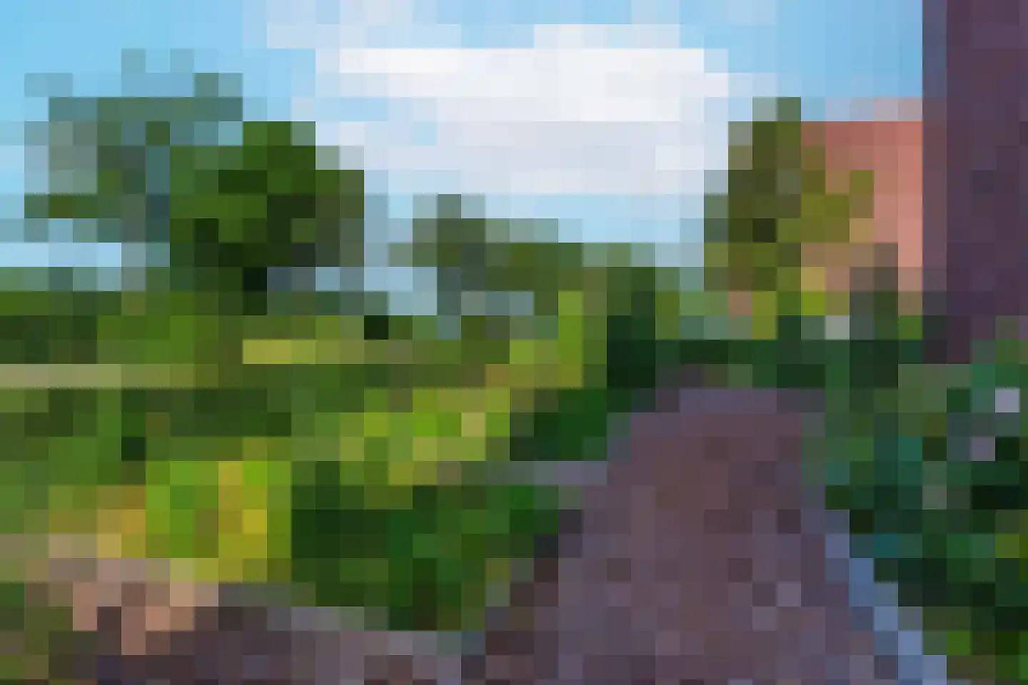 Rooseveltlaan 768 Utrecht thumbnail 7