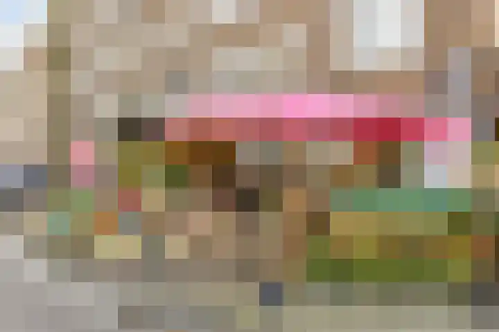 Rooseveltlaan 77 Amsterdam thumbnail 23