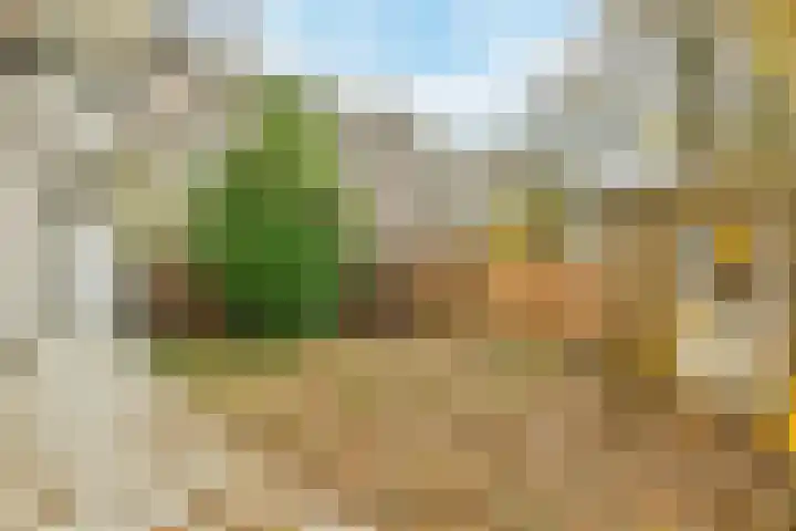 Rooseveltlaan 77 Amsterdam thumbnail 9