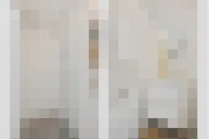 Rooseveltlaan 804 Utrecht thumbnail 13