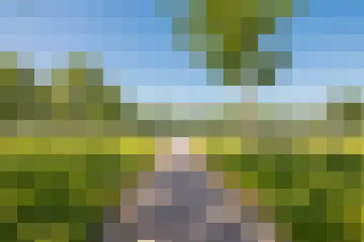 Rooseveltlaan 804 Utrecht thumbnail 20