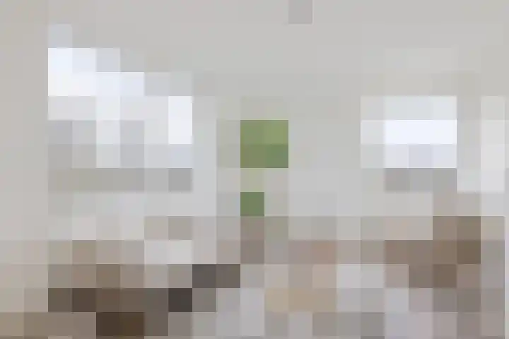 Rooseveltlaan 804 Utrecht thumbnail 8