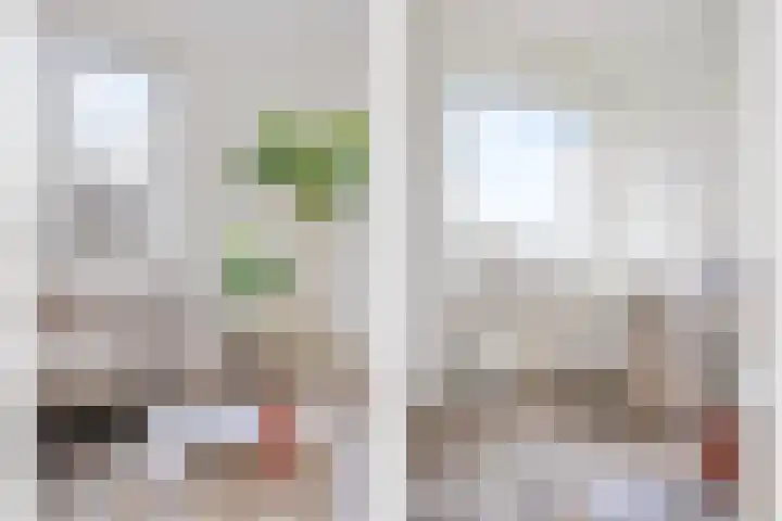 Rooseveltlaan 804 Utrecht thumbnail 9