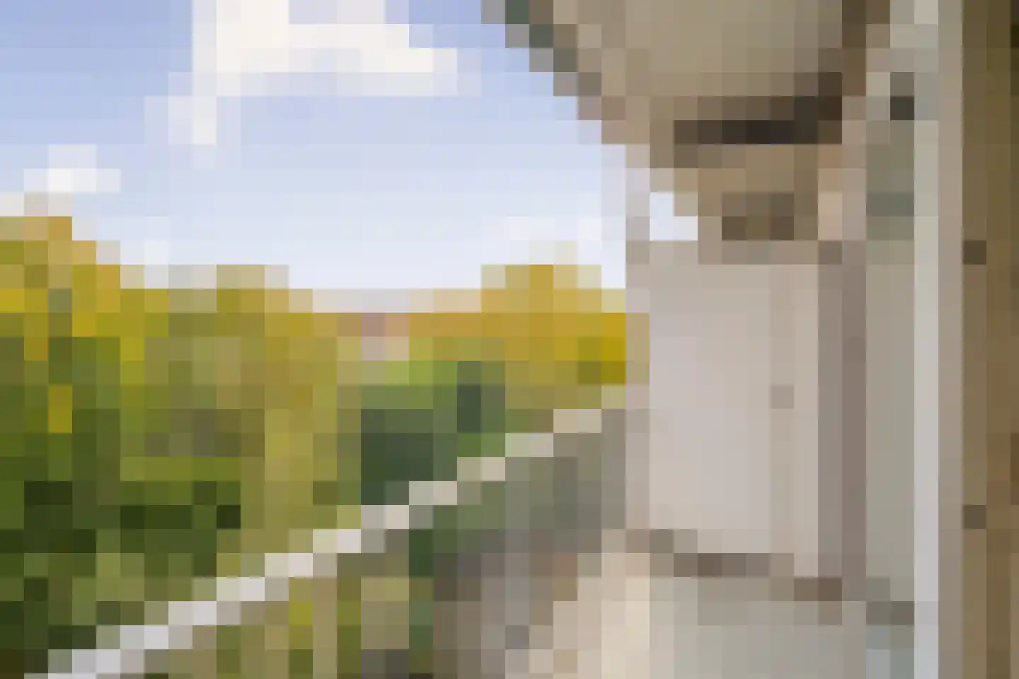 Rooseveltlaan 81 3 Amsterdam thumbnail 5