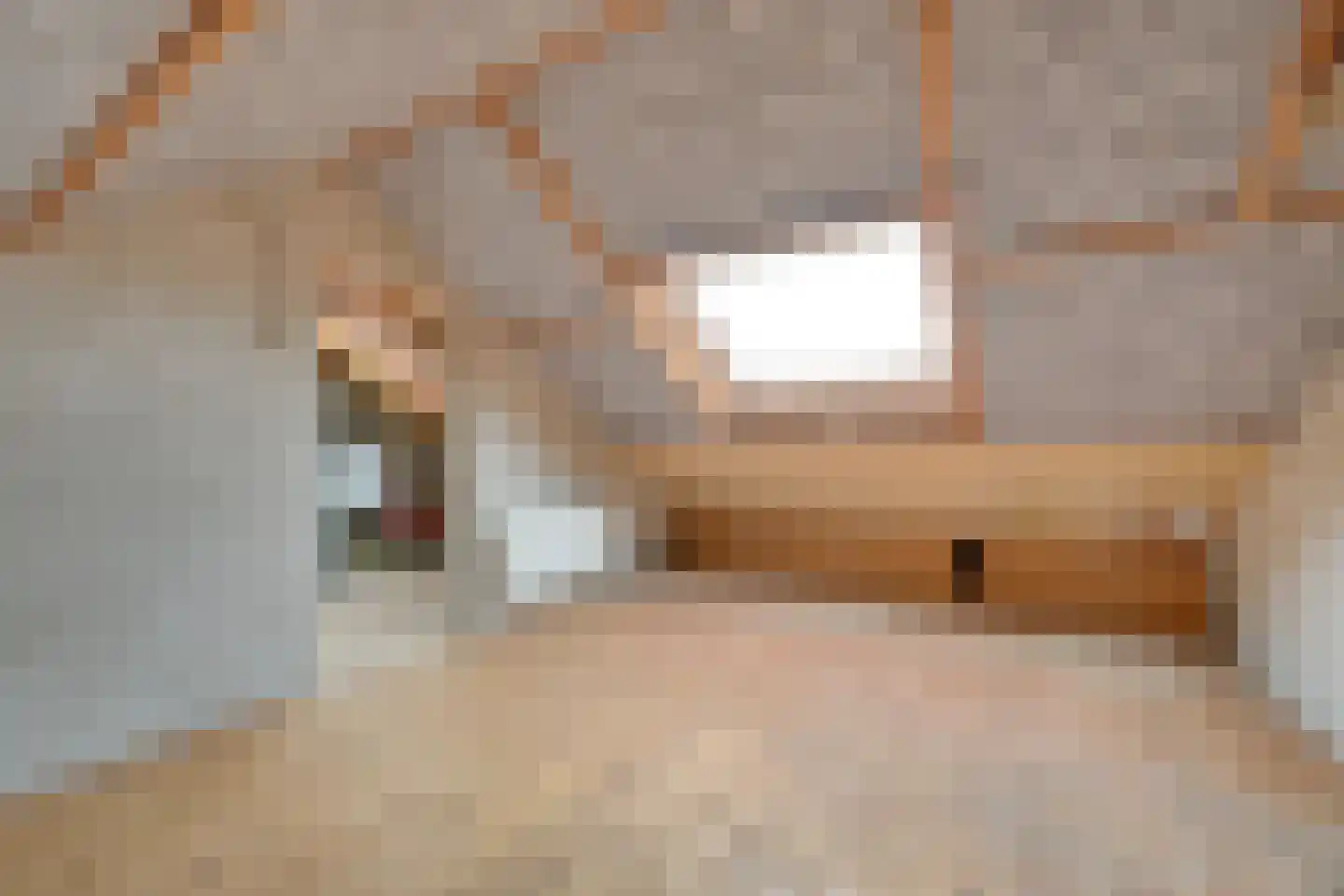 Rooseveltlaan 83 Castricum thumbnail 27