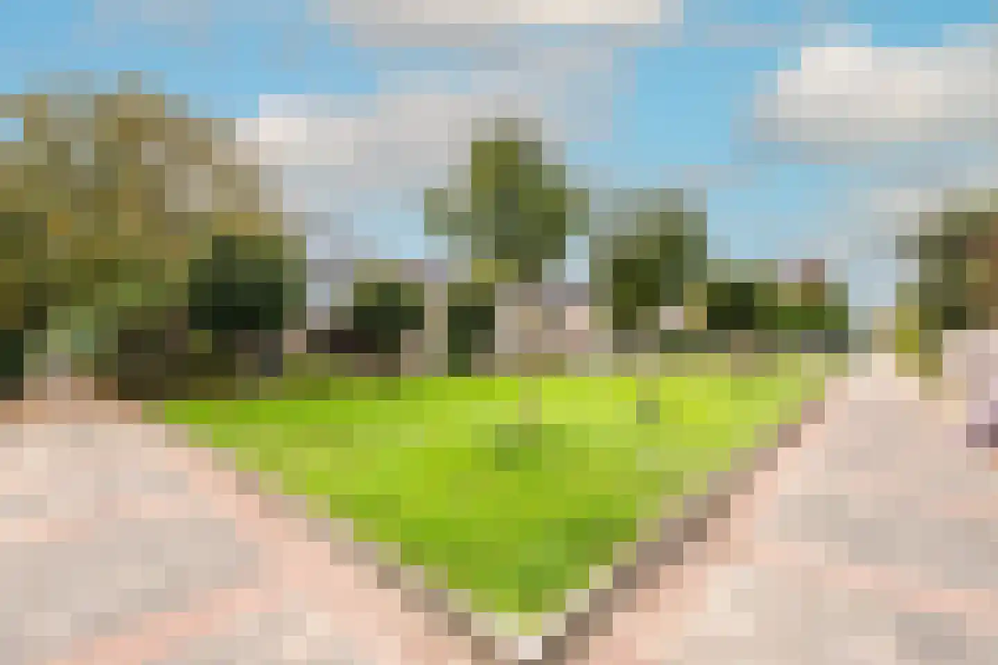 Rooseveltlaan 83 Castricum thumbnail 5