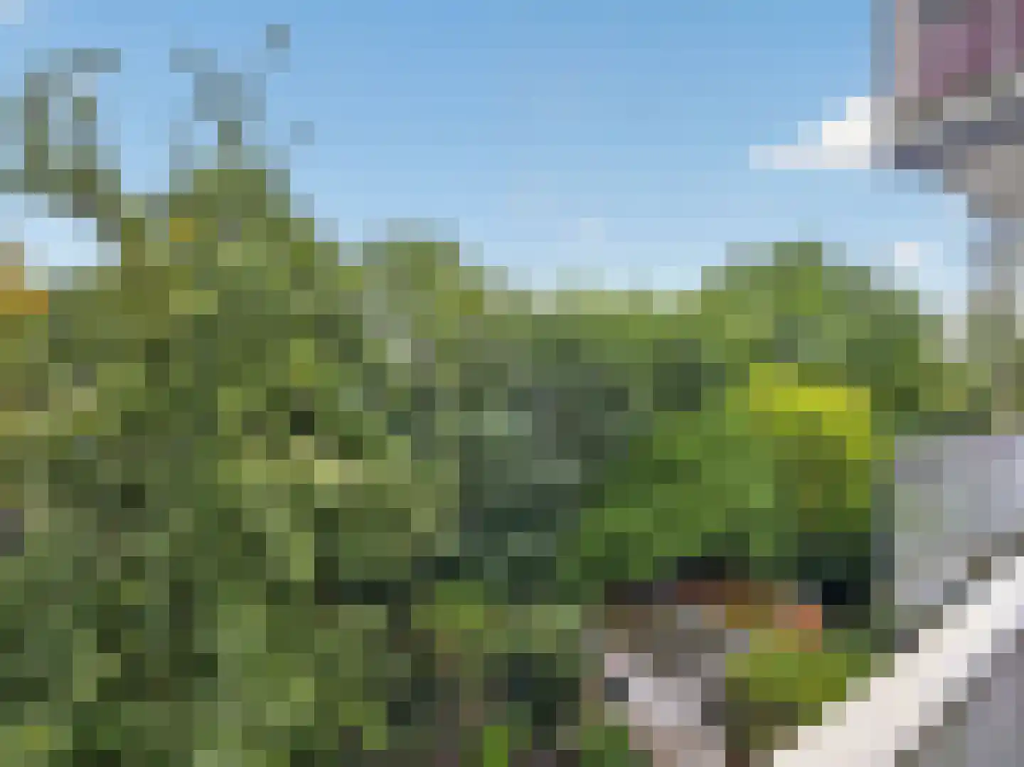 Rooseveltlaan 87 2 Amsterdam thumbnail 11
