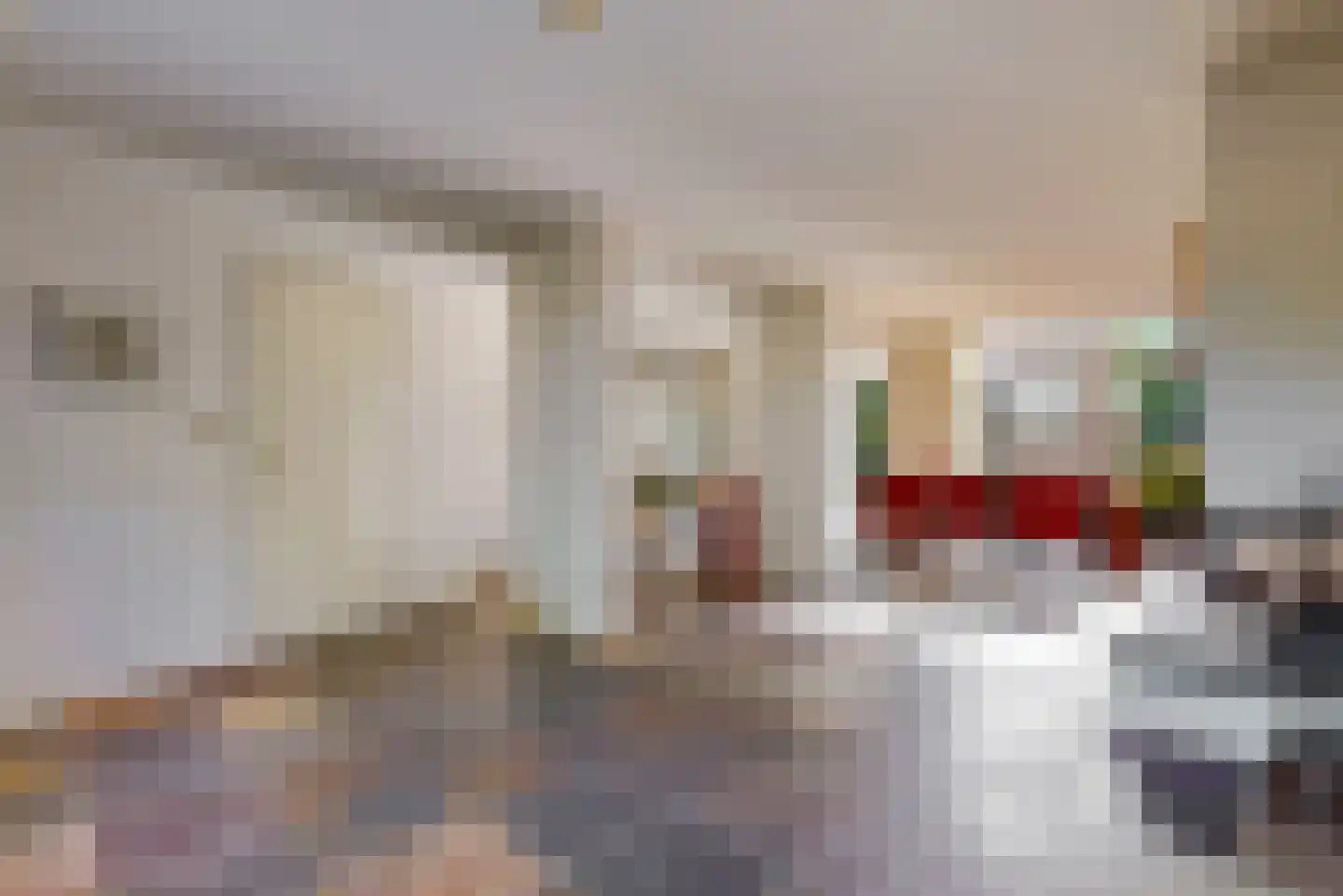Rooseveltlaan 9 Castricum thumbnail 11
