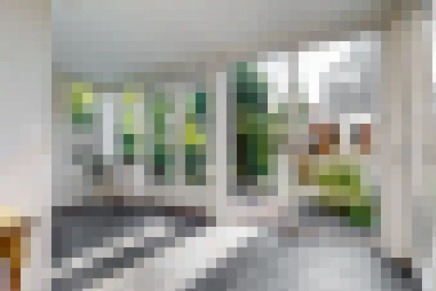 Rooseveltlaan 9 Castricum thumbnail 23