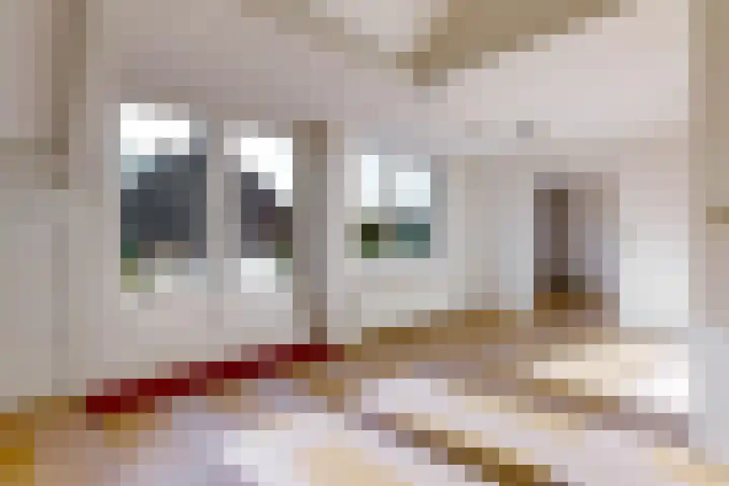 Rooseveltlaan 9 Castricum thumbnail 35