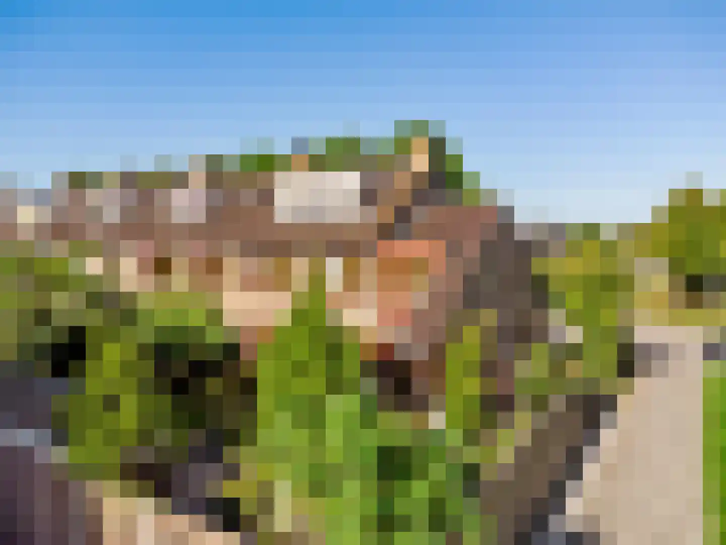 Rooseveltlaan 9 Castricum thumbnail 5