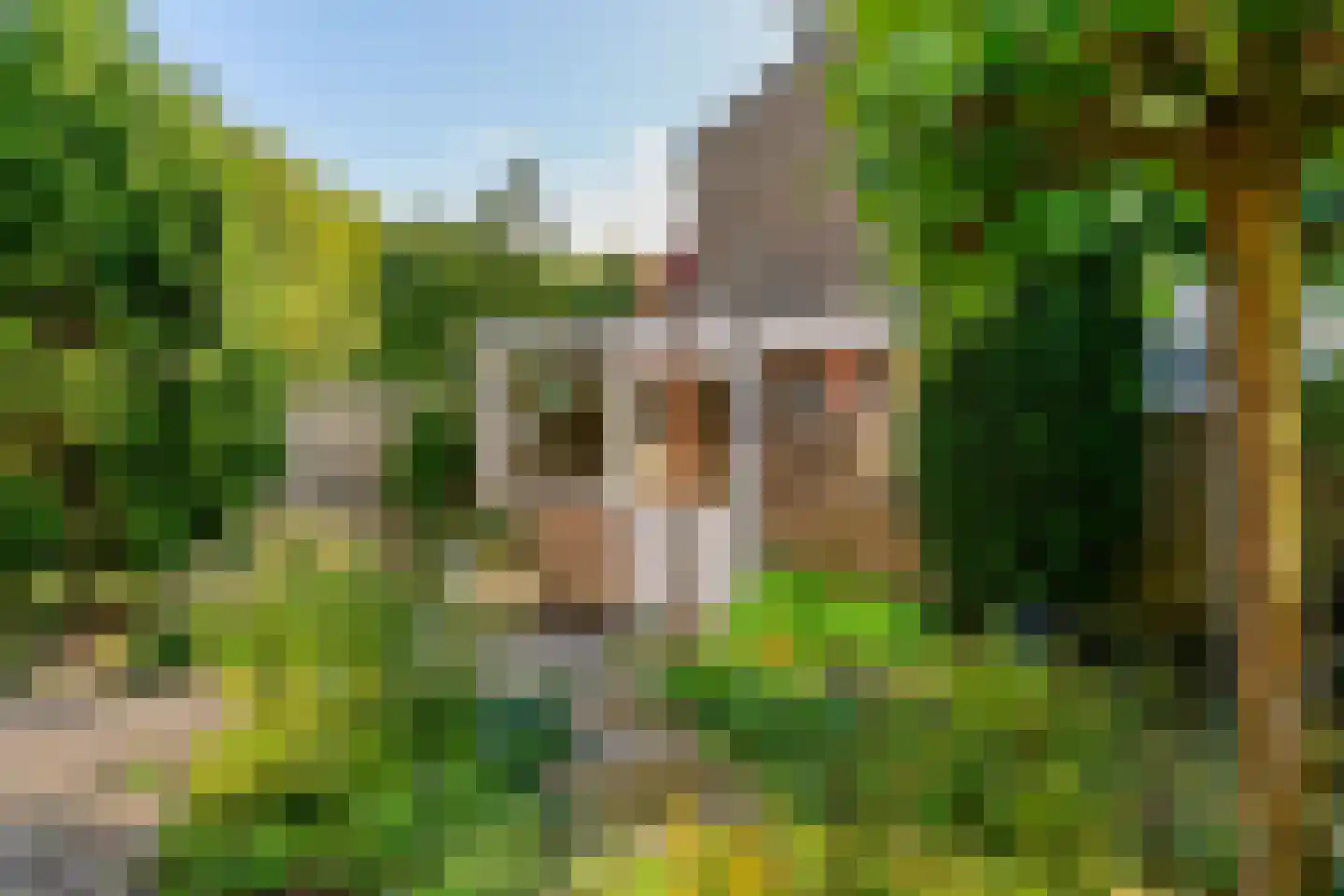 Rooseveltlaan 9 Castricum thumbnail 54