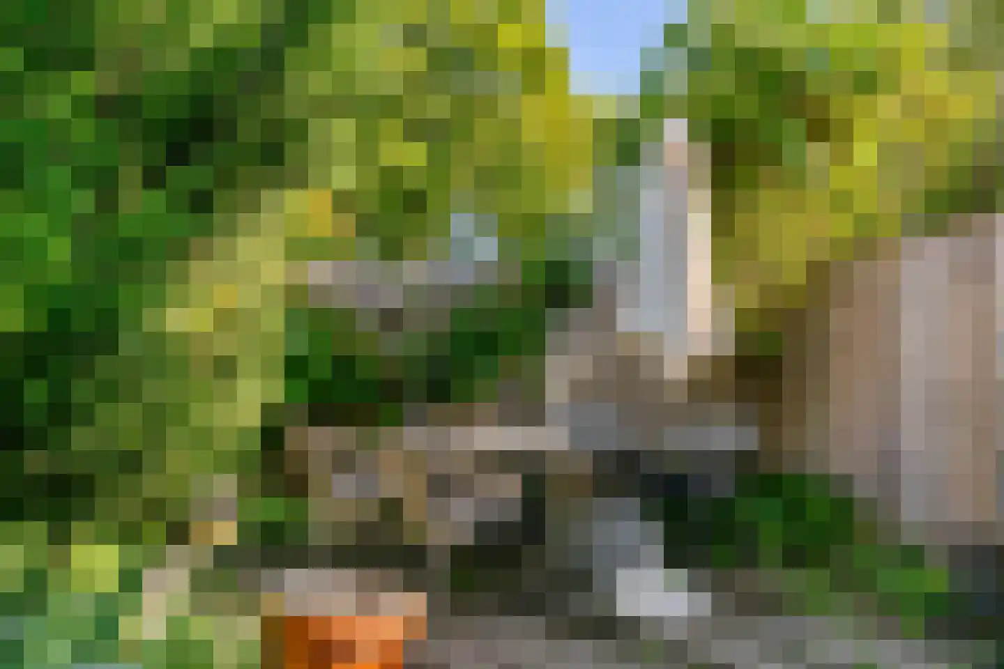 Rooseveltlaan 9 Castricum thumbnail 59