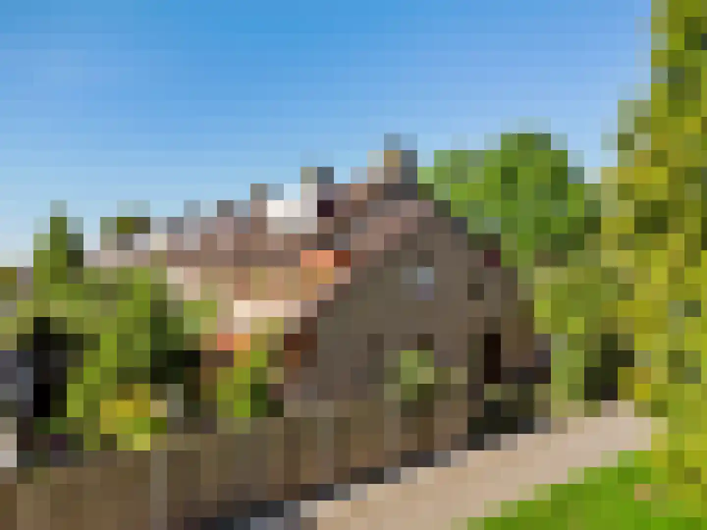 Rooseveltlaan 9 Castricum thumbnail 62
