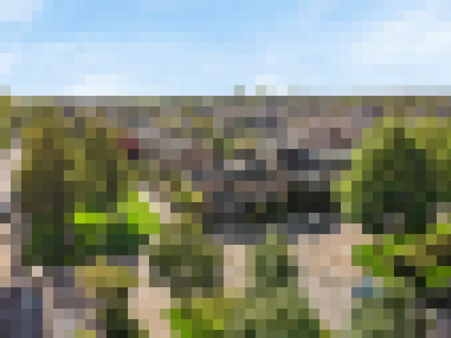 Rooseveltlaan 9 Castricum thumbnail 7