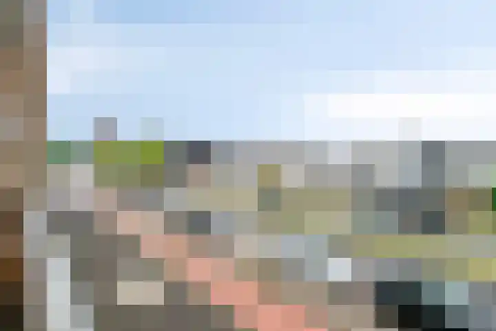 Rooseveltlaan 92 Bergen op Zoom thumbnail 32