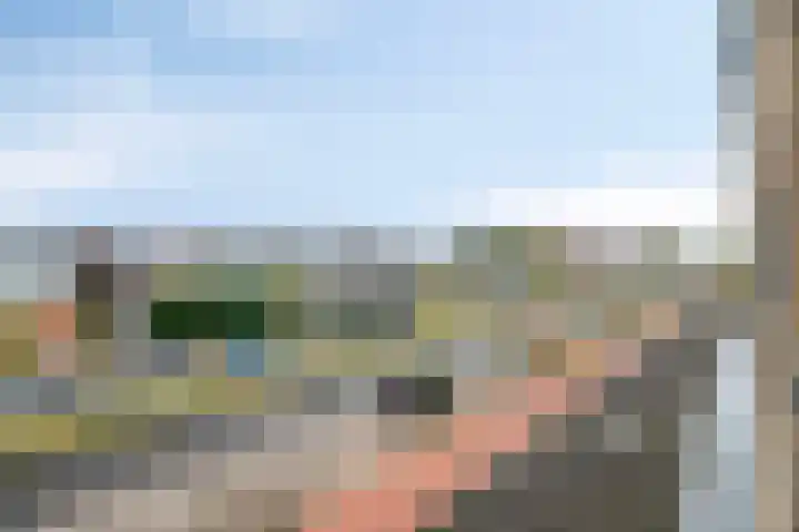 Rooseveltlaan 92 Bergen op Zoom thumbnail 33