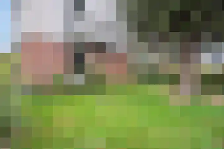 Rooseveltstraat 1 Urmond thumbnail 22