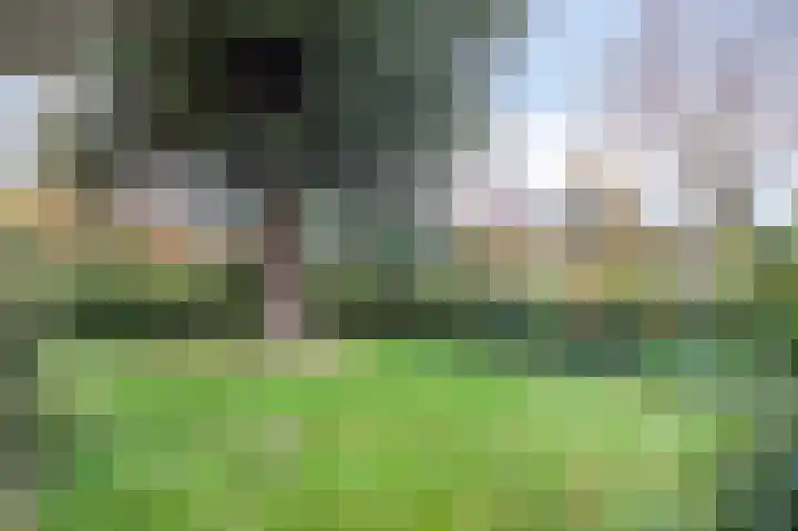 Rooseveltstraat 1 Urmond thumbnail 5