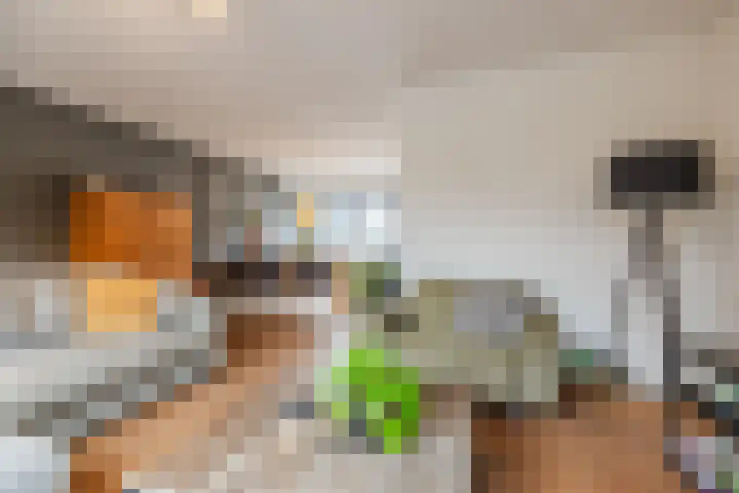 Rooseveltstraat 11 Dongen thumbnail 10