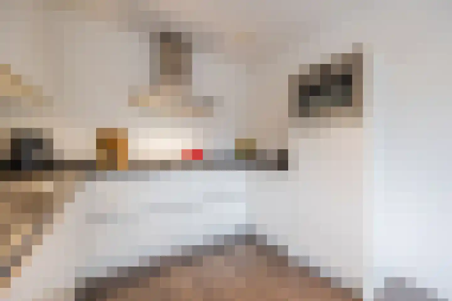 Rooseveltstraat 11 Dongen thumbnail 19