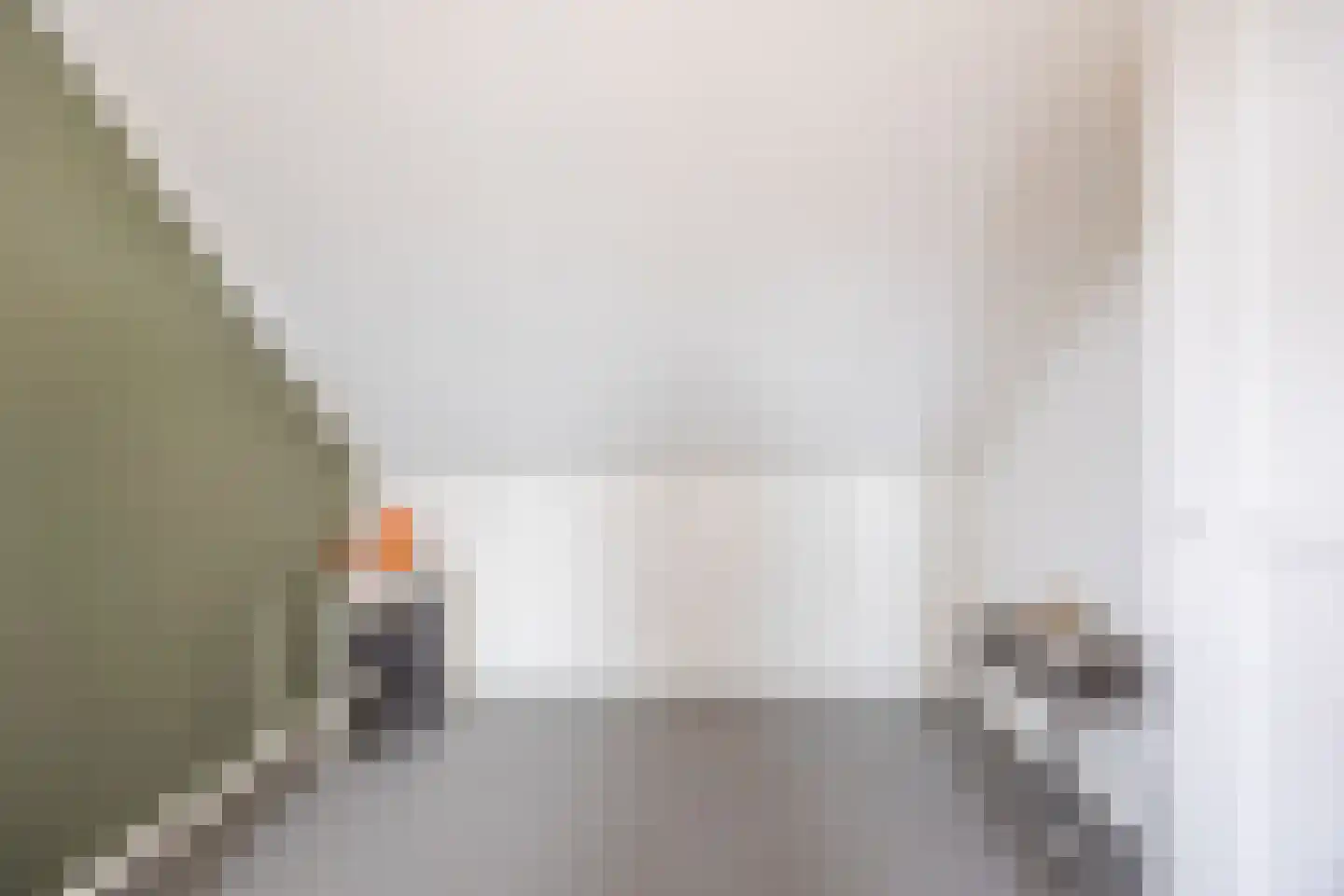 Rooseveltstraat 11 Dongen thumbnail 45