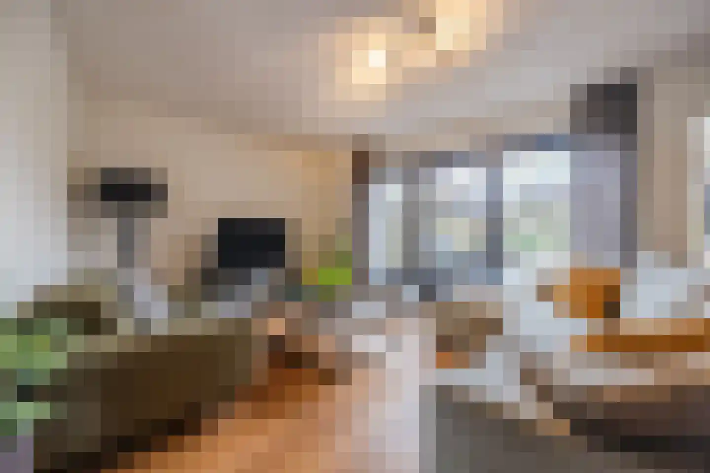 Rooseveltstraat 11 Dongen thumbnail 8