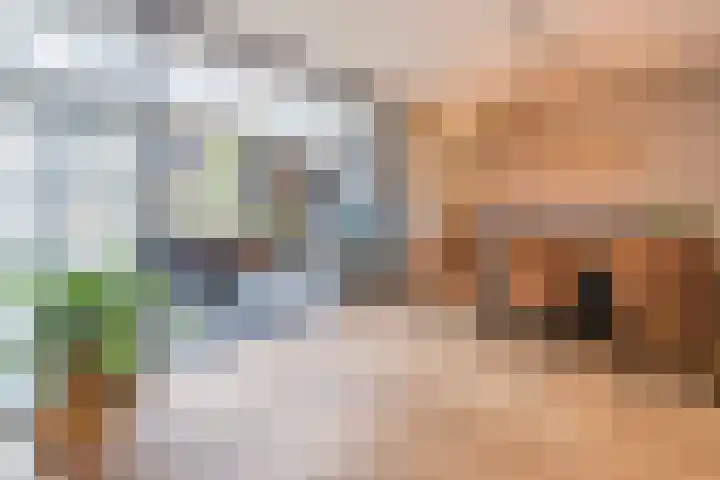 Rooseveltstraat 12 Dongen thumbnail 17