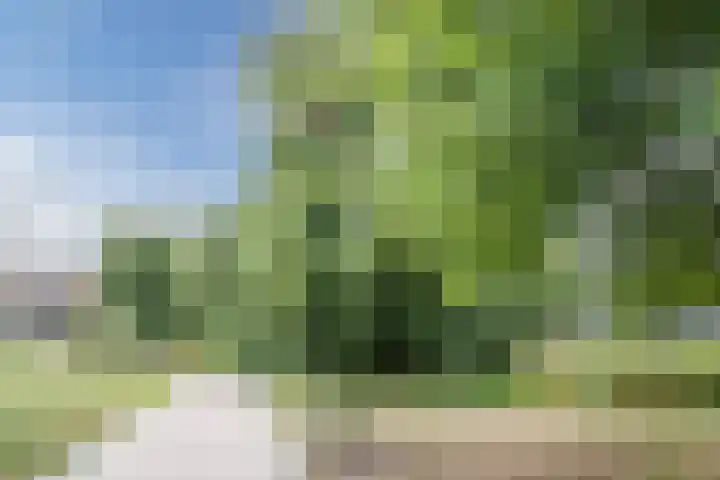 Rooseveltstraat 12 Dongen thumbnail 47