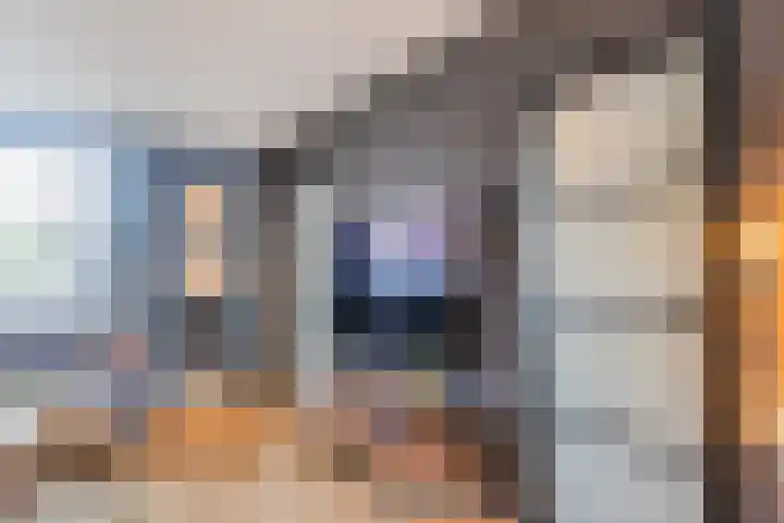 Rooseveltstraat 12 Dongen thumbnail 9