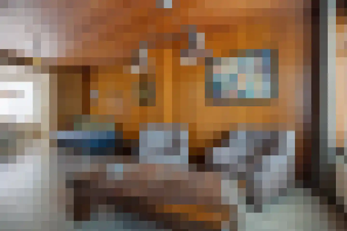 Rooseveltstraat 12 Oss thumbnail 12