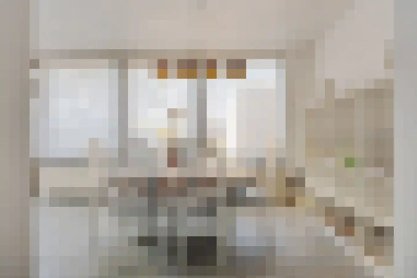 Rooseveltstraat 12 Oss thumbnail 14