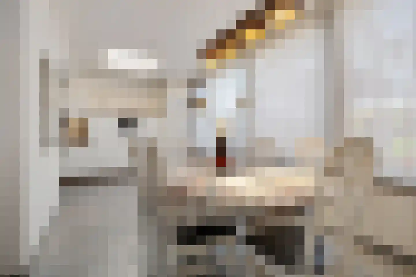 Rooseveltstraat 12 Oss thumbnail 15