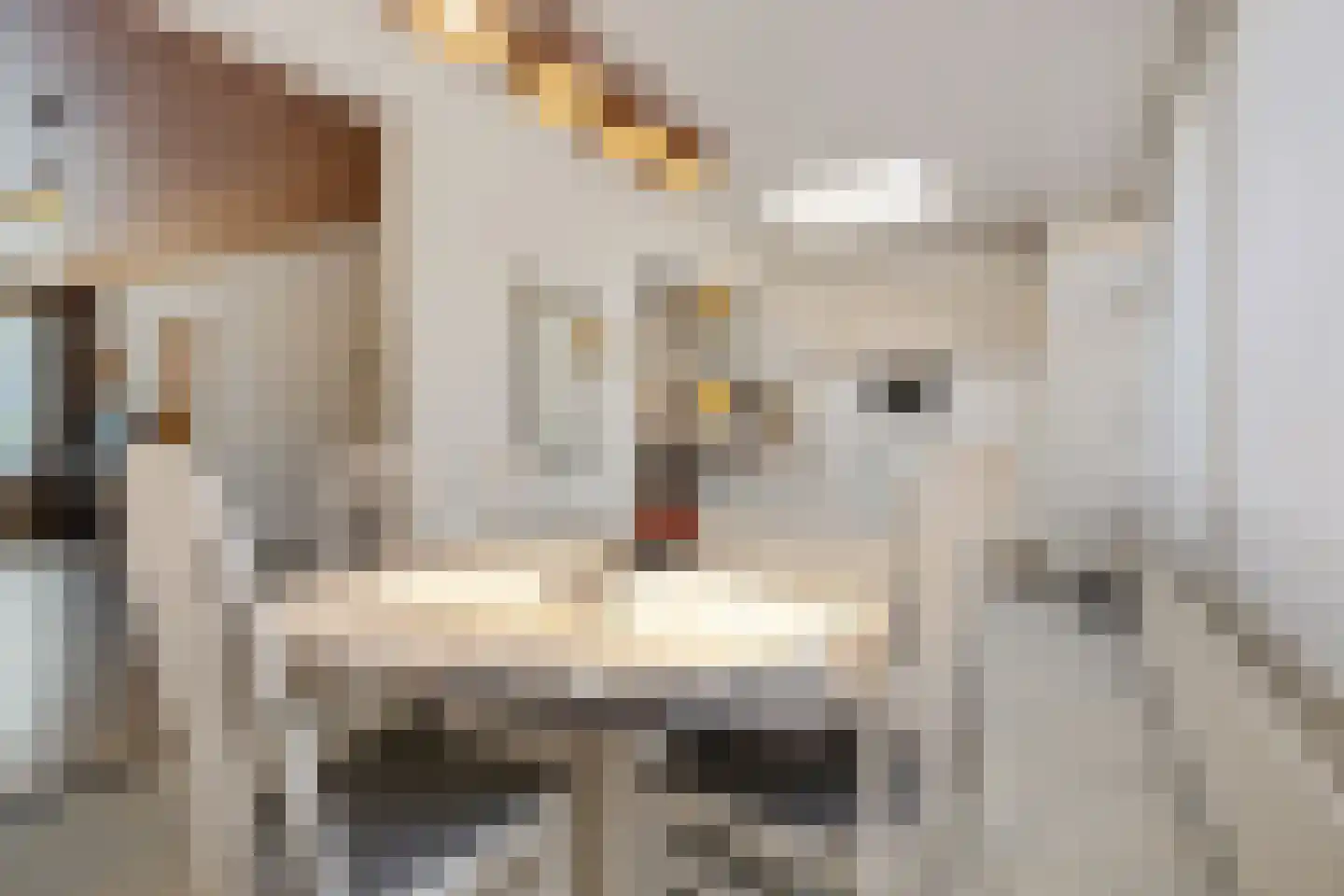 Rooseveltstraat 12 Oss thumbnail 17