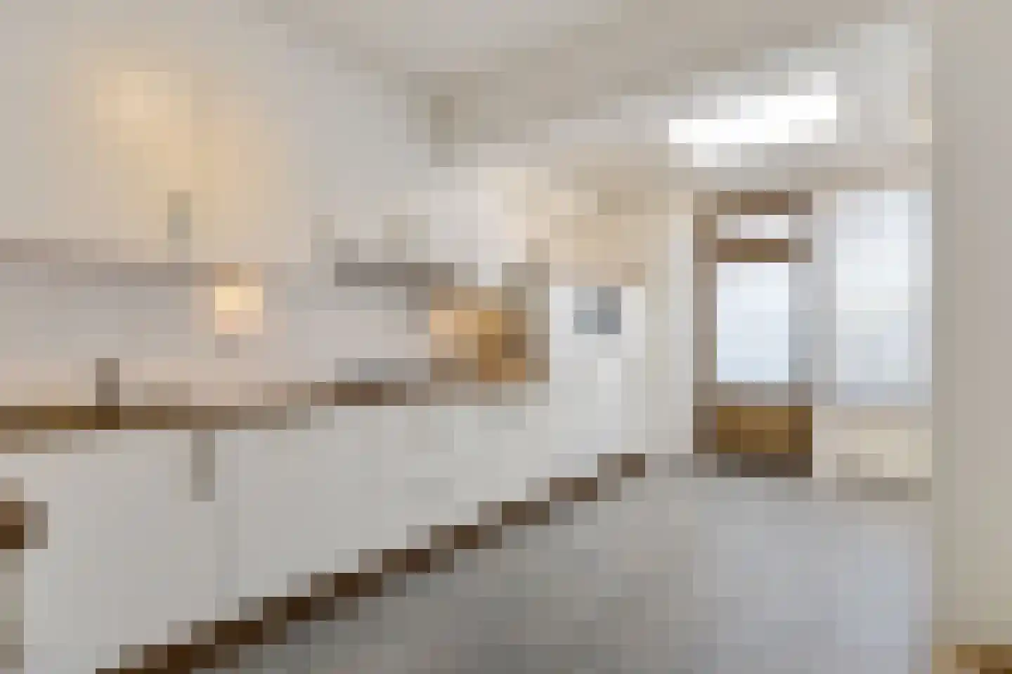 Rooseveltstraat 12 Oss thumbnail 19