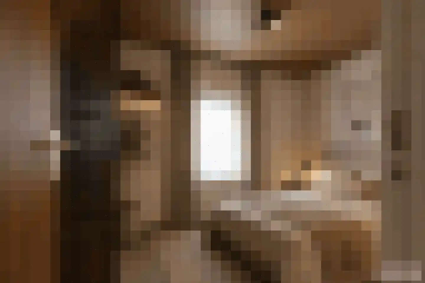Rooseveltstraat 12 Oss thumbnail 27
