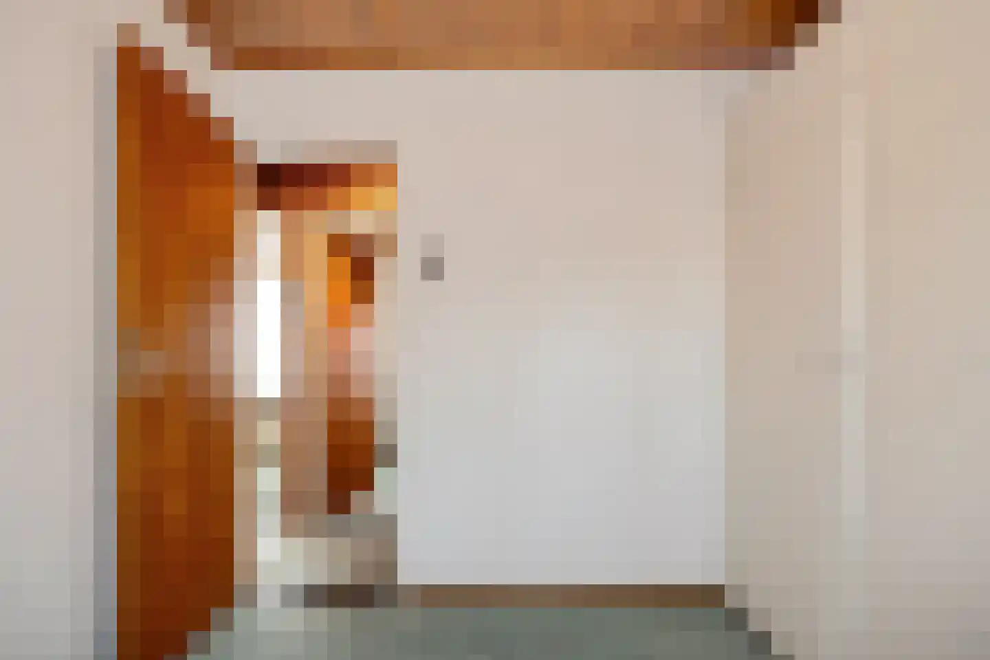 Rooseveltstraat 12 Oss thumbnail 38